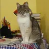 Отзыв от Марина Ульянова